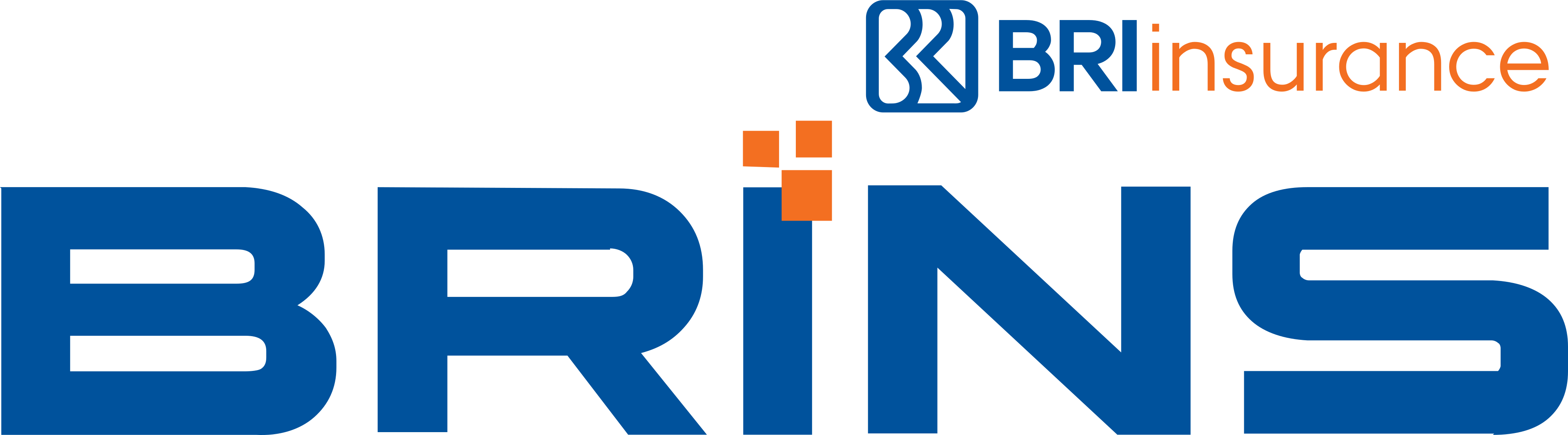 BRI Insurance